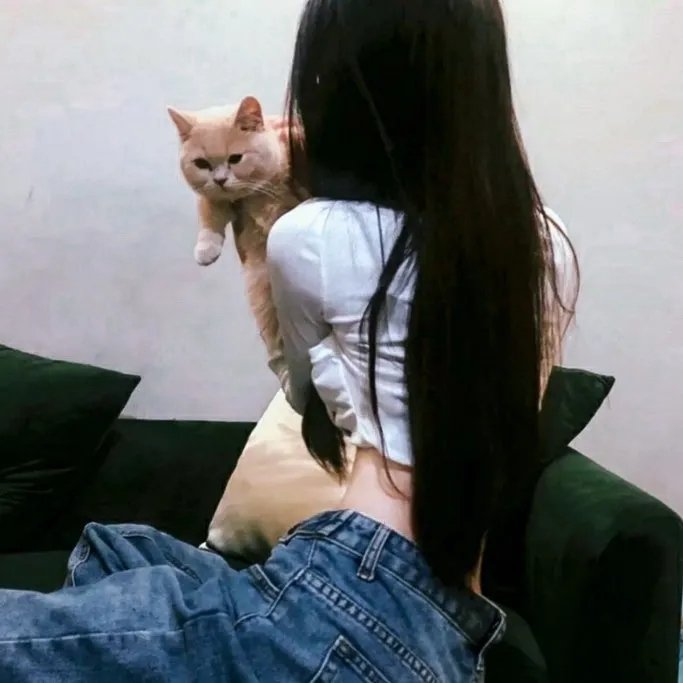 狗纹龙爸爸